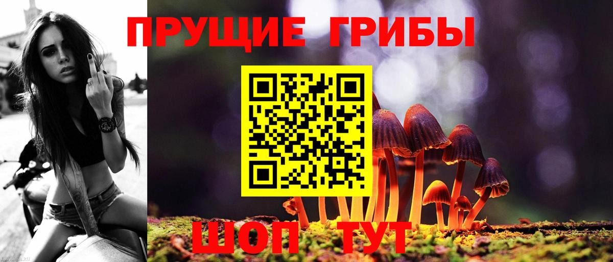 Галлюциногенные грибы Magic Shrooms  Вход с VPN  Торжок  Псилоцибиновые грибы GOLDEN TEACHER 